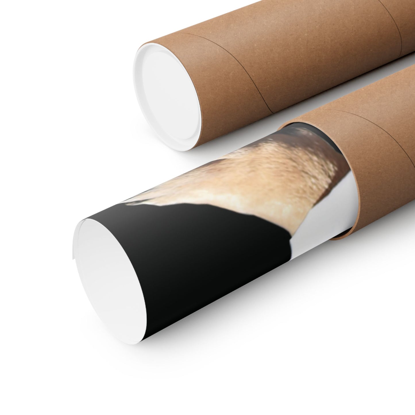 Ugly Neighbor Matte Horizontal Posters