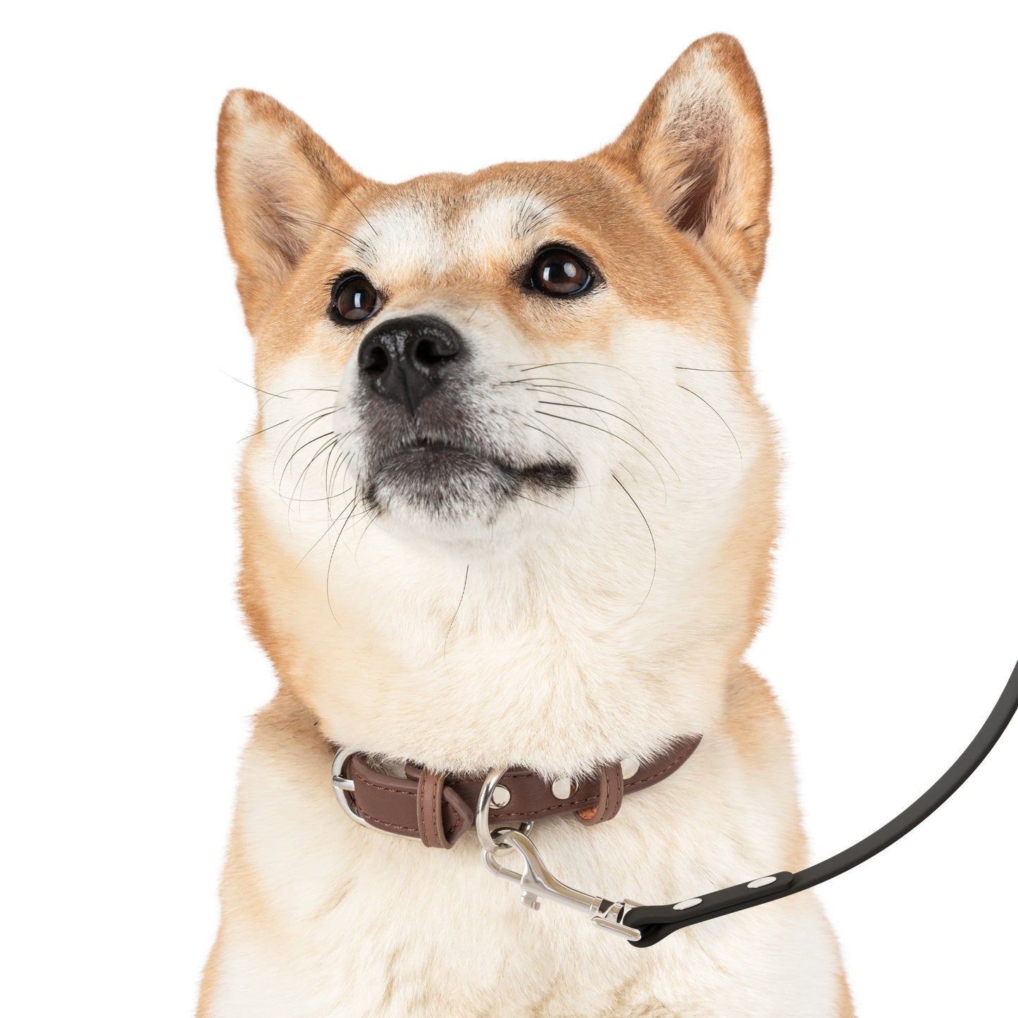 Premium Crap Dog Leash