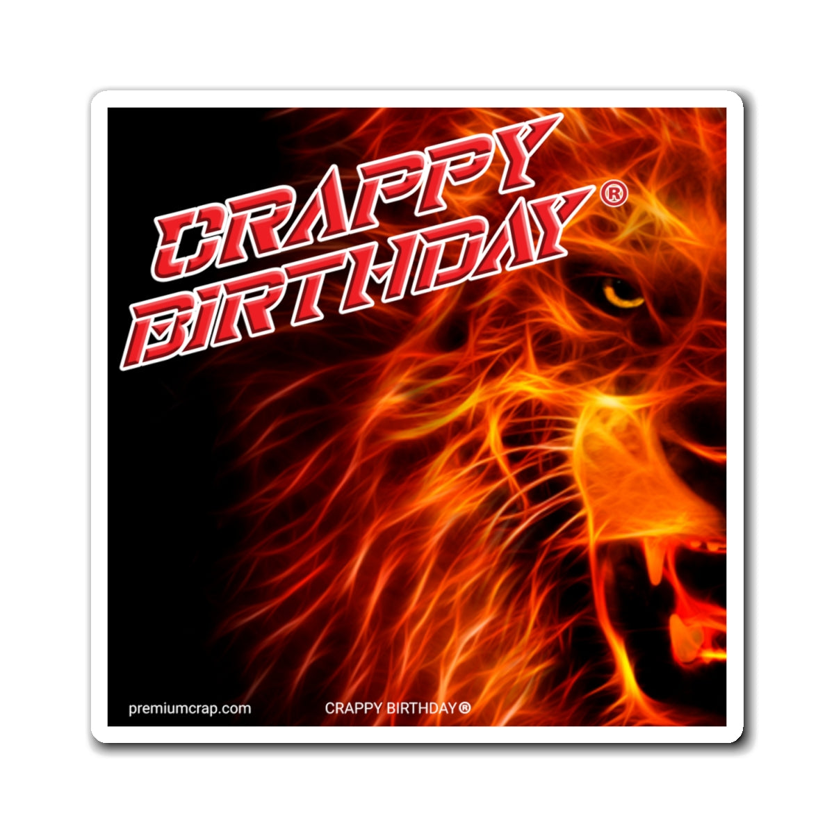 Crappy Birthday Magnets