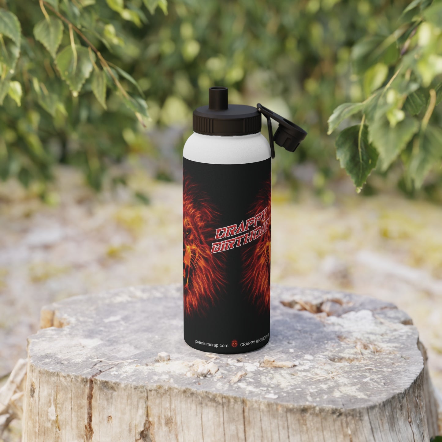 Crappy Birthday Stainless Steel Water Bottle, Sports Lid