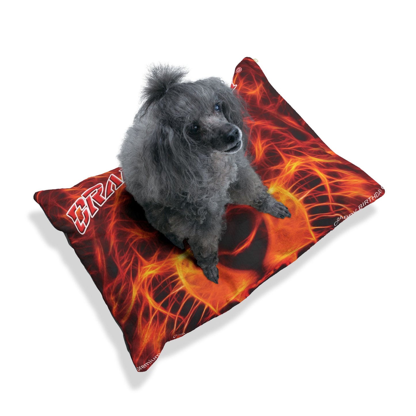 Crappy Birthday Pawfectly Cozy Pet Bed