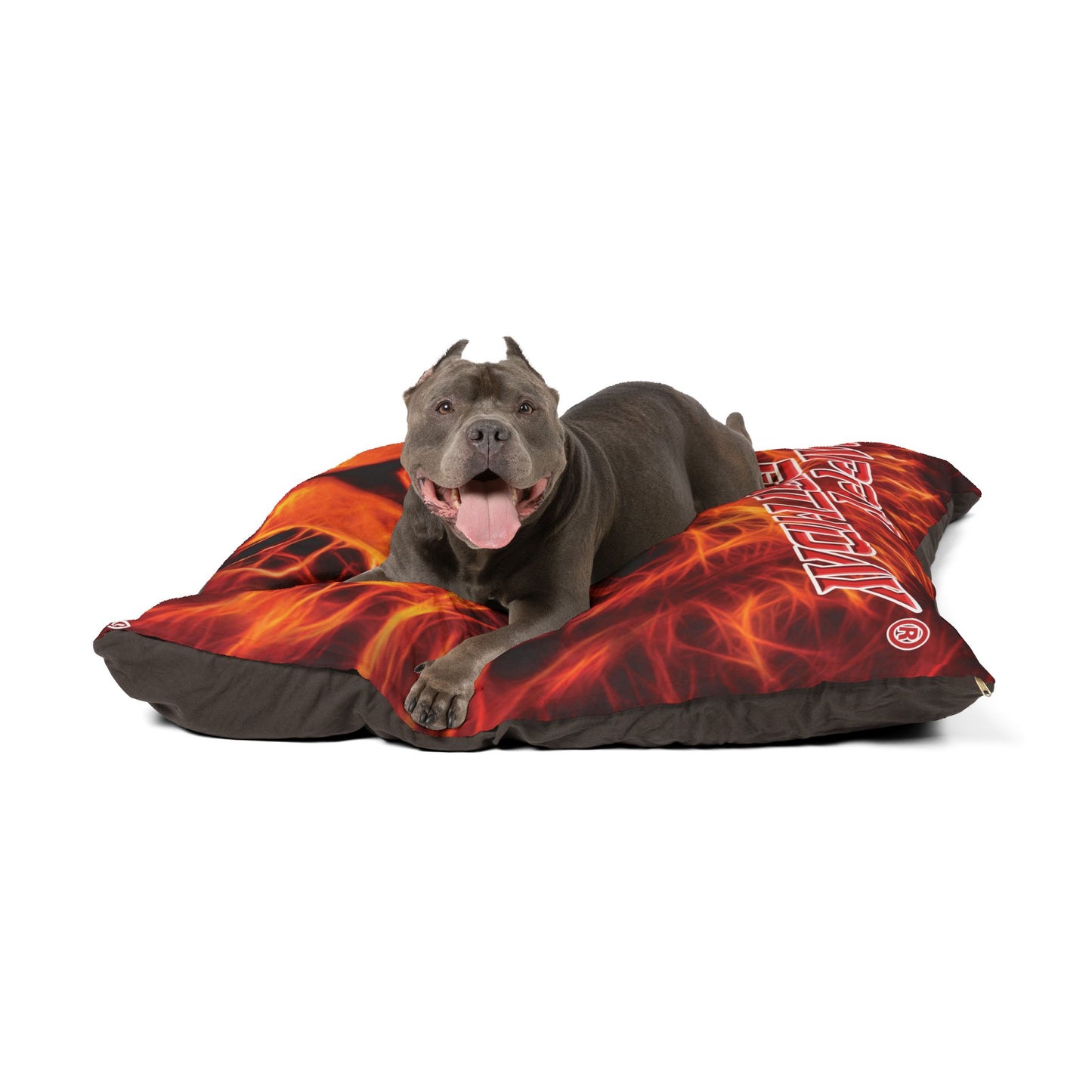 Crappy Birthday Pawfectly Cozy Pet Bed