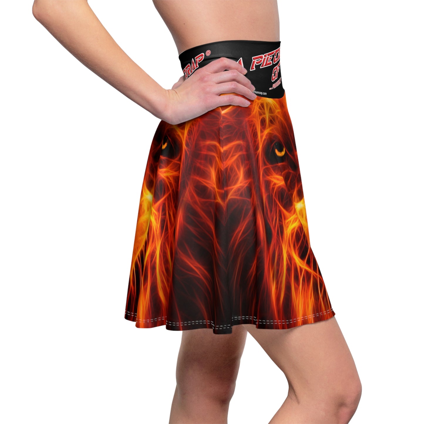 A Piece Of Crap Women's Skater Skirt