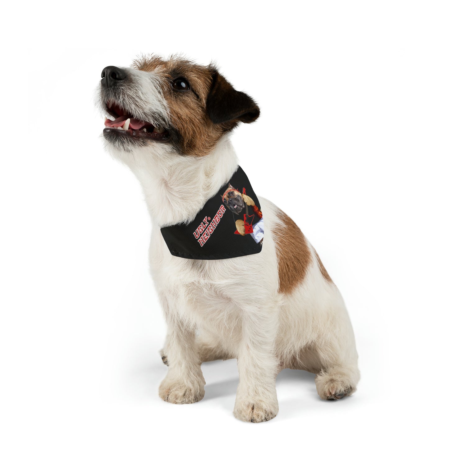 Ugly Neighbor Pet Bandana Collar
