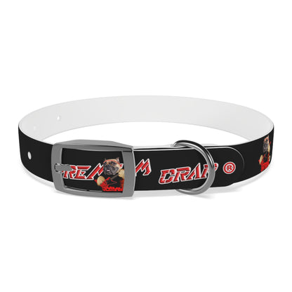 Premium Crap II Dog Collar