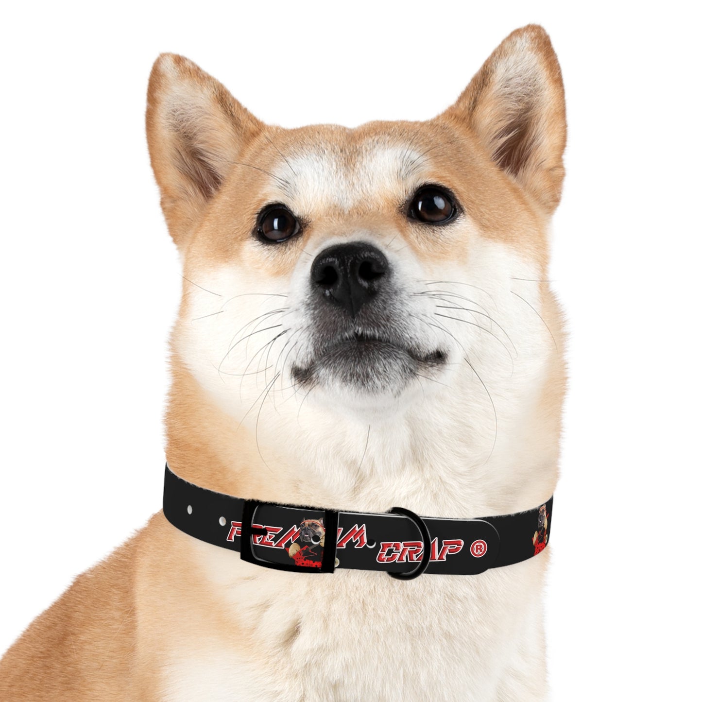 Premium Crap II Dog Collar