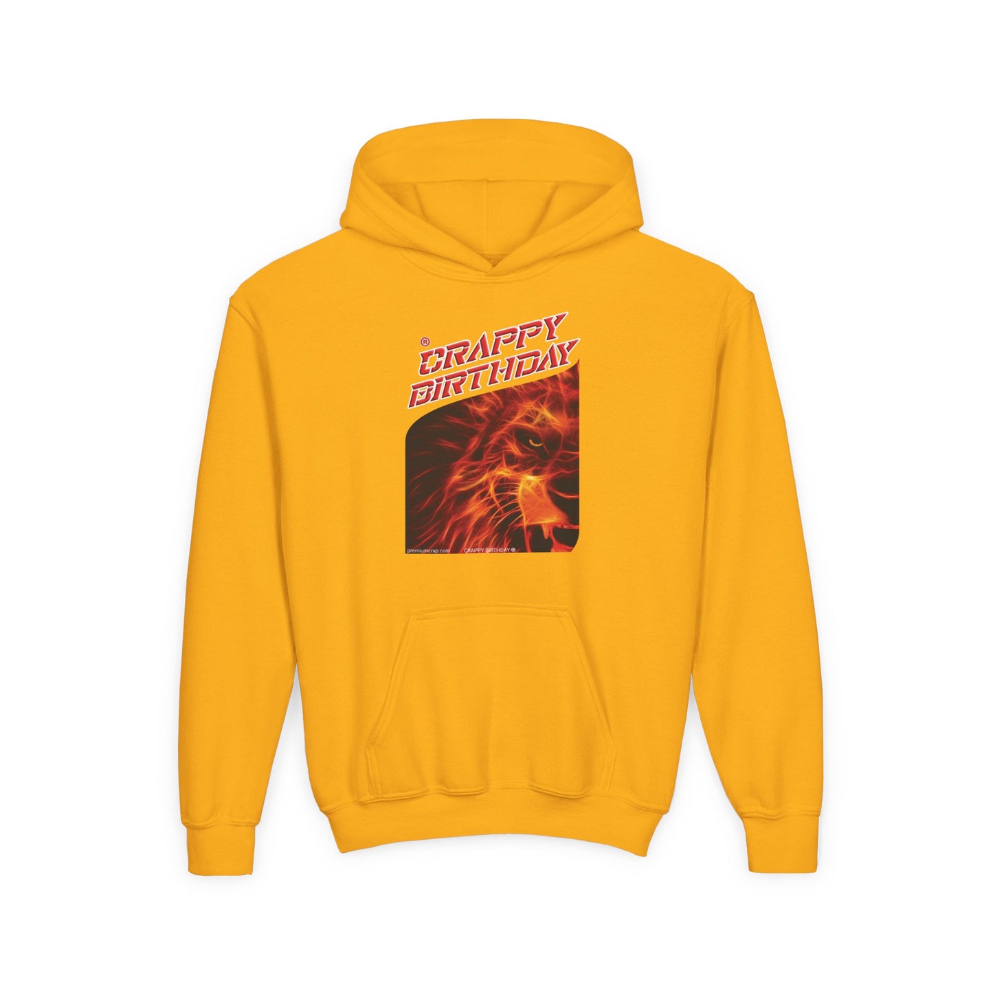 Crappy Birthday Youth Heavy Blend Hooded Sweatshirt