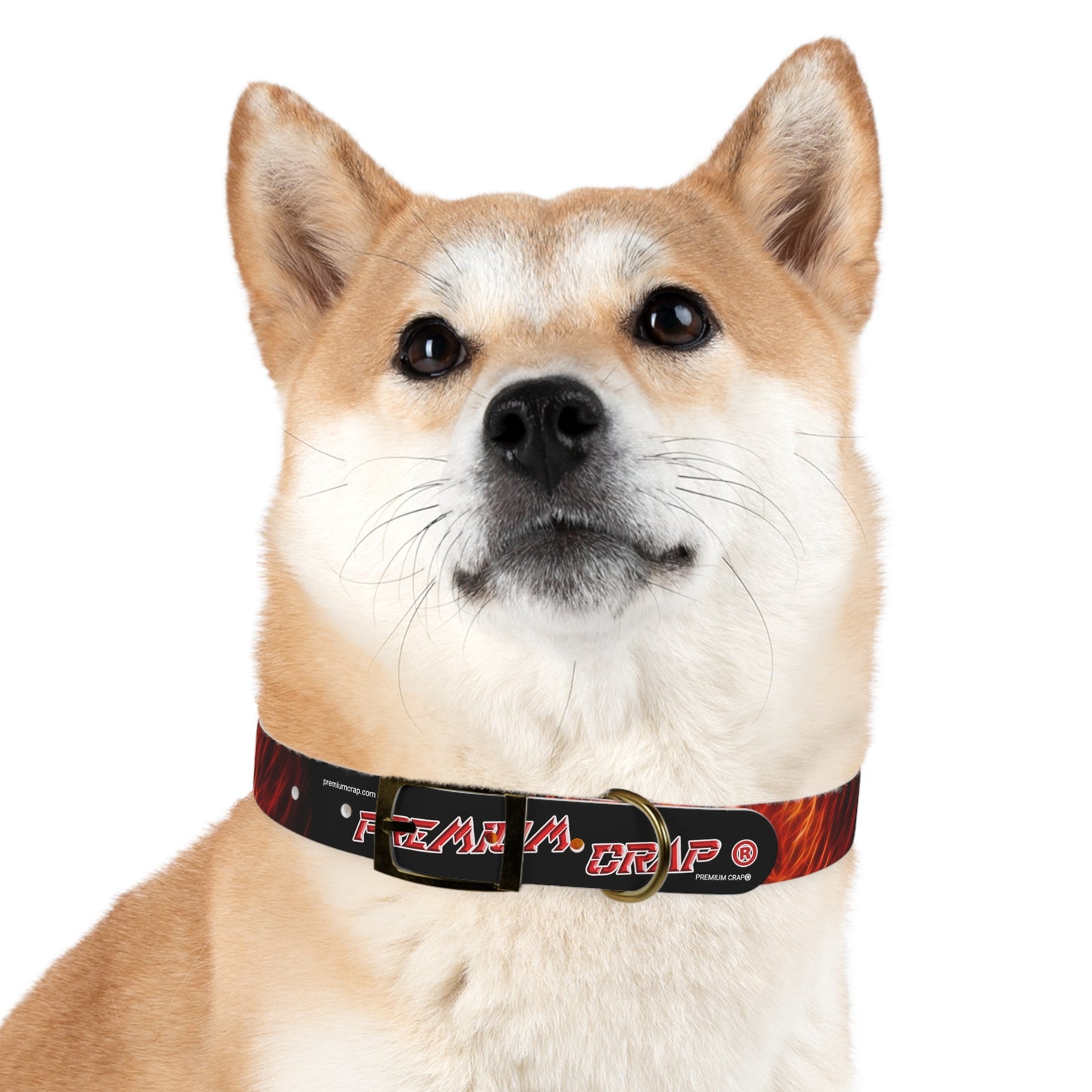 Premium Crap PawStrap Canine Collar