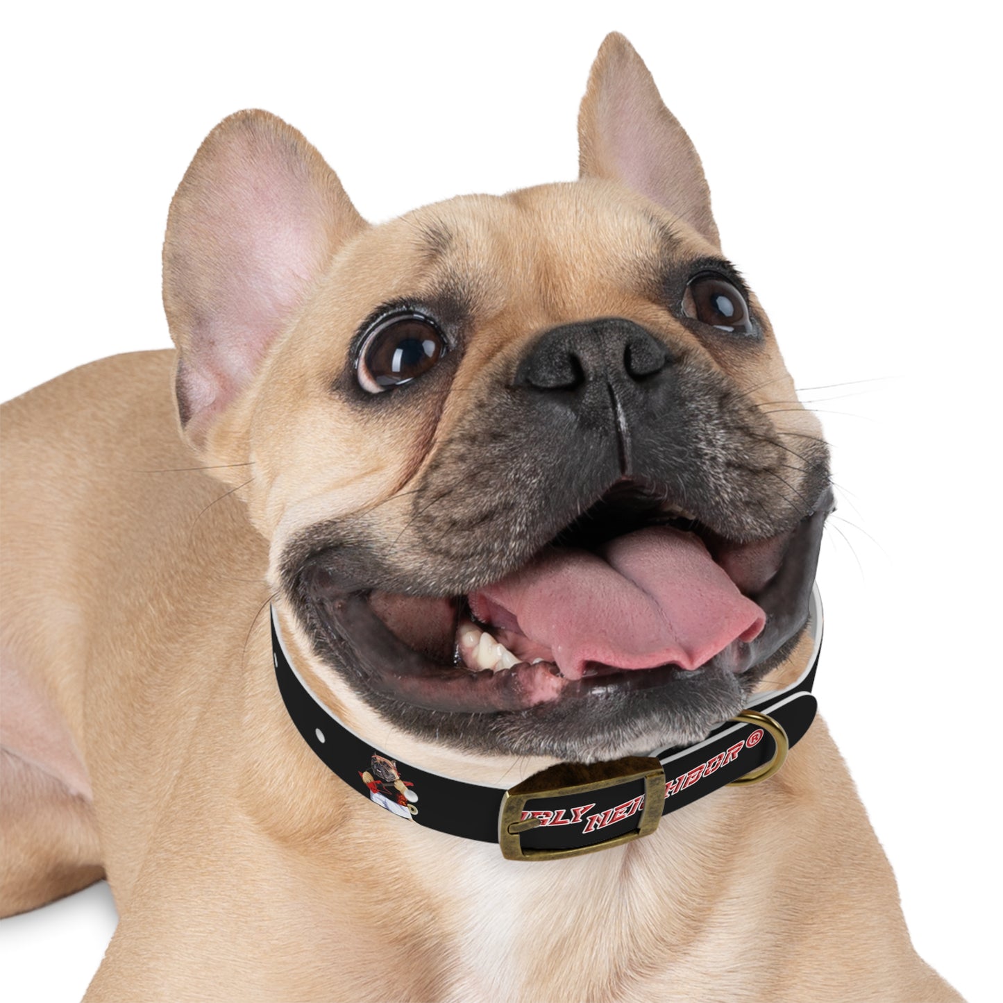 Ugly Neighbor Pet Collar