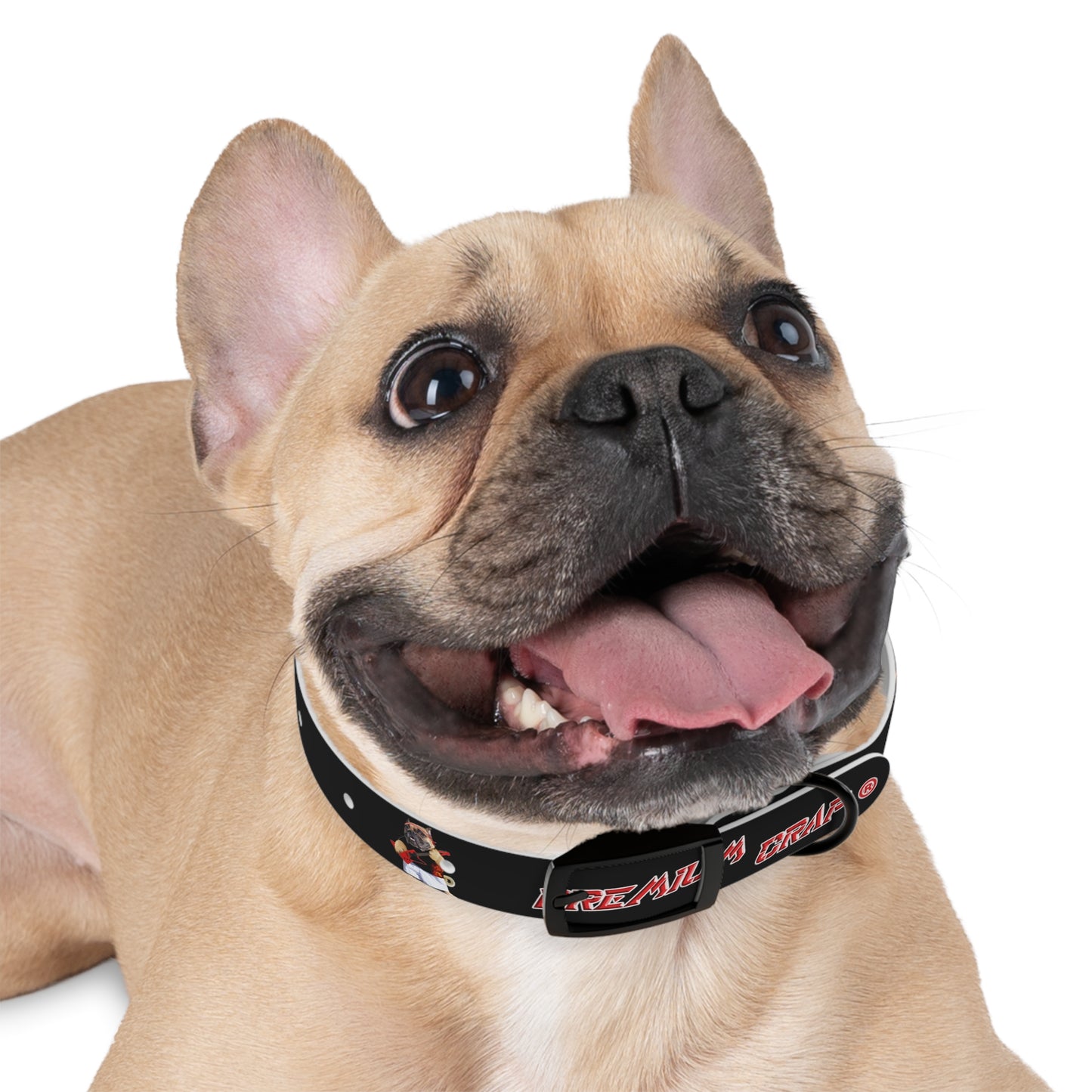 Premium Crap Dog Collar