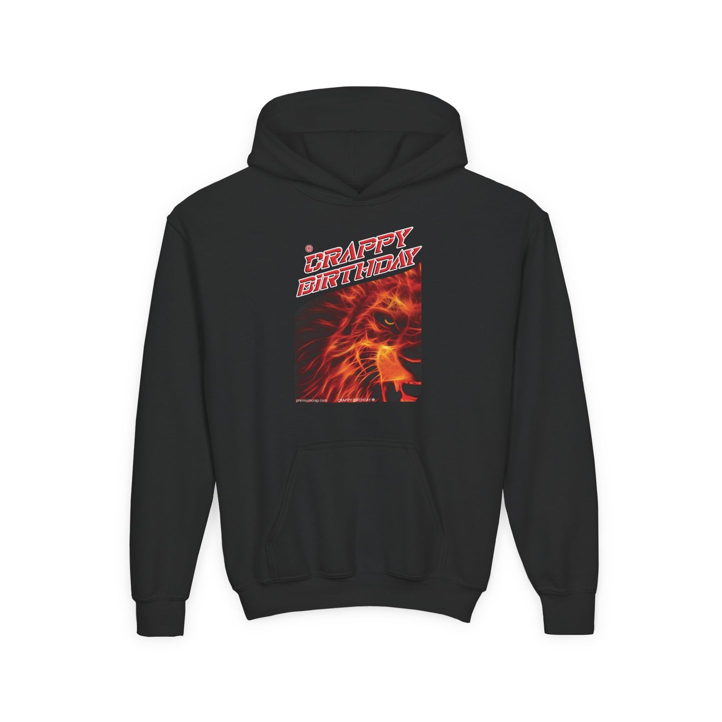 Crappy Birthday Youth Heavy Blend Hooded Sweatshirt
