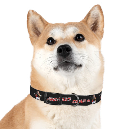 Premium Crap Dog Collar