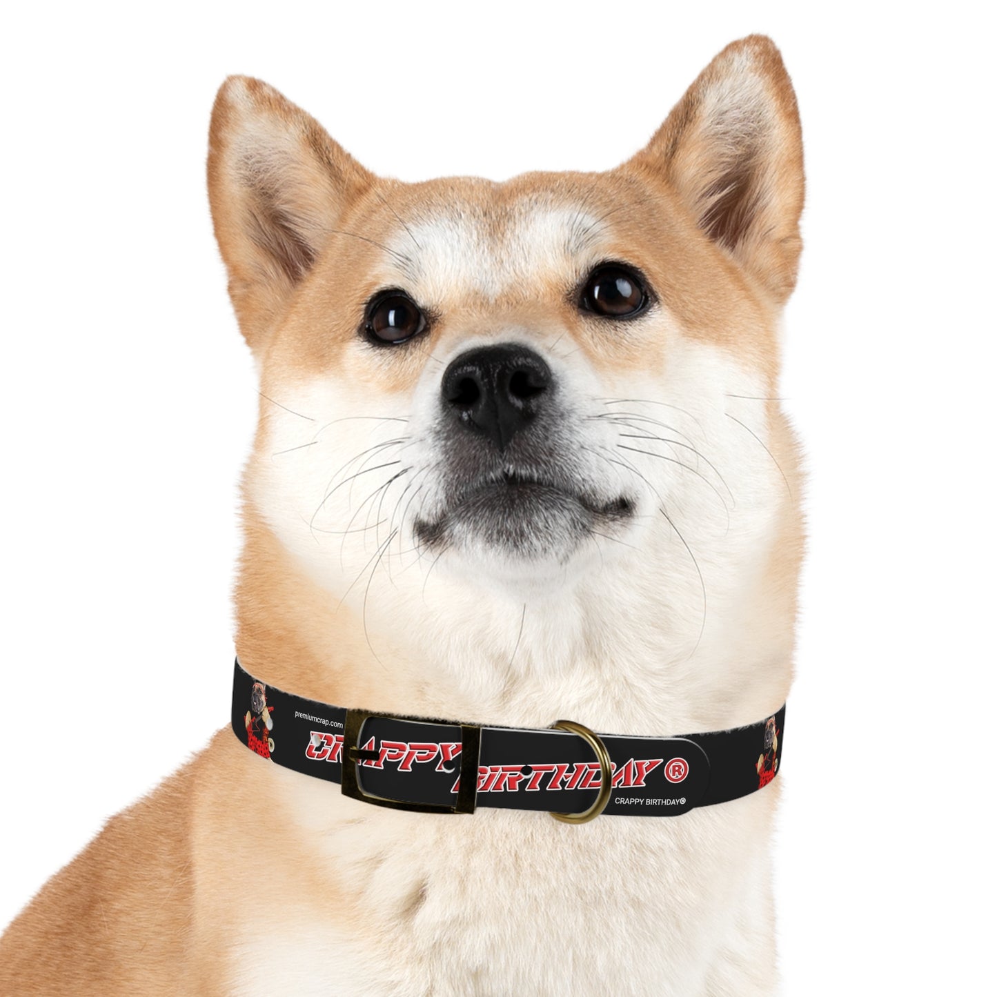 Crappy Birthday II Dog Collar