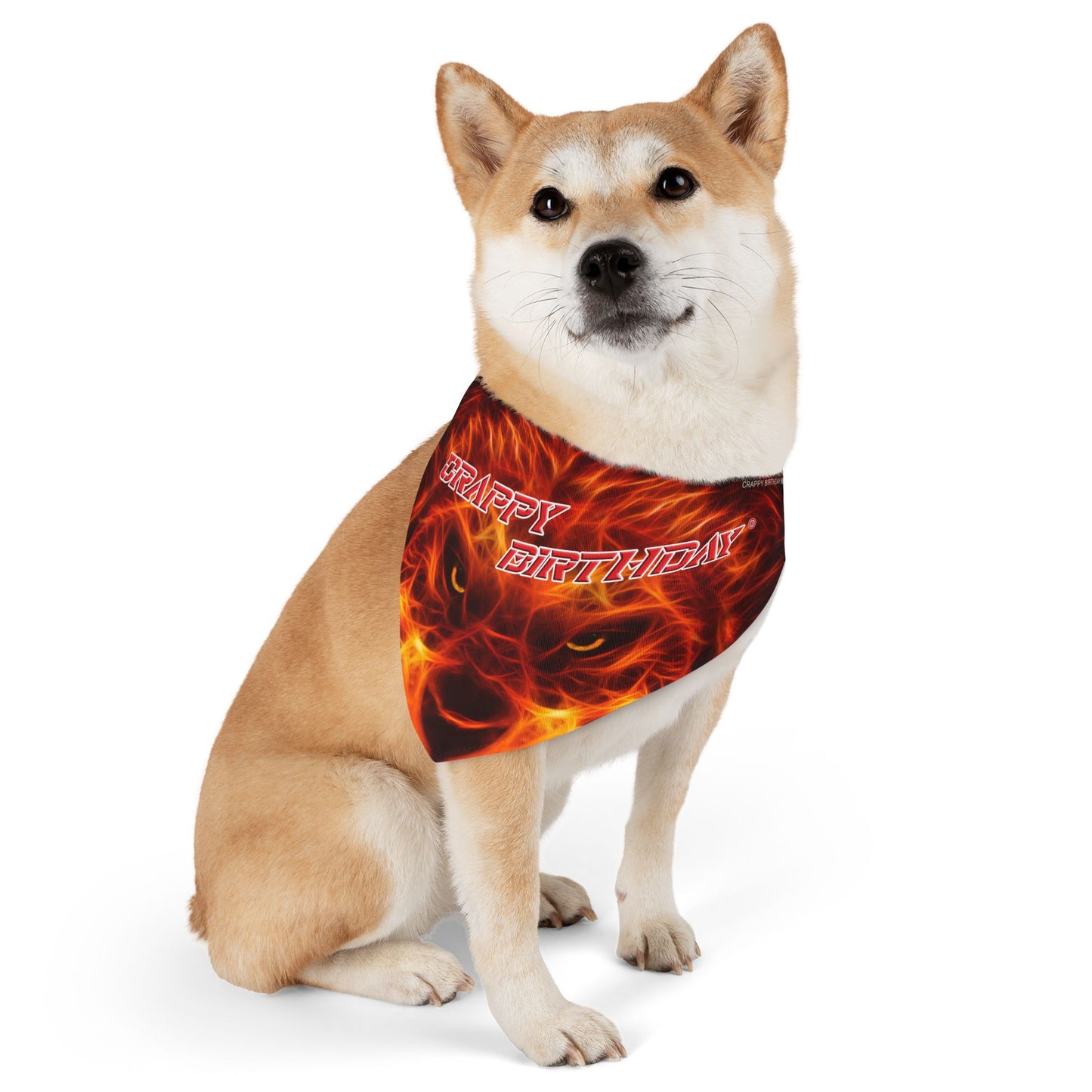 Crappy Birthday Pet Bandana Collar