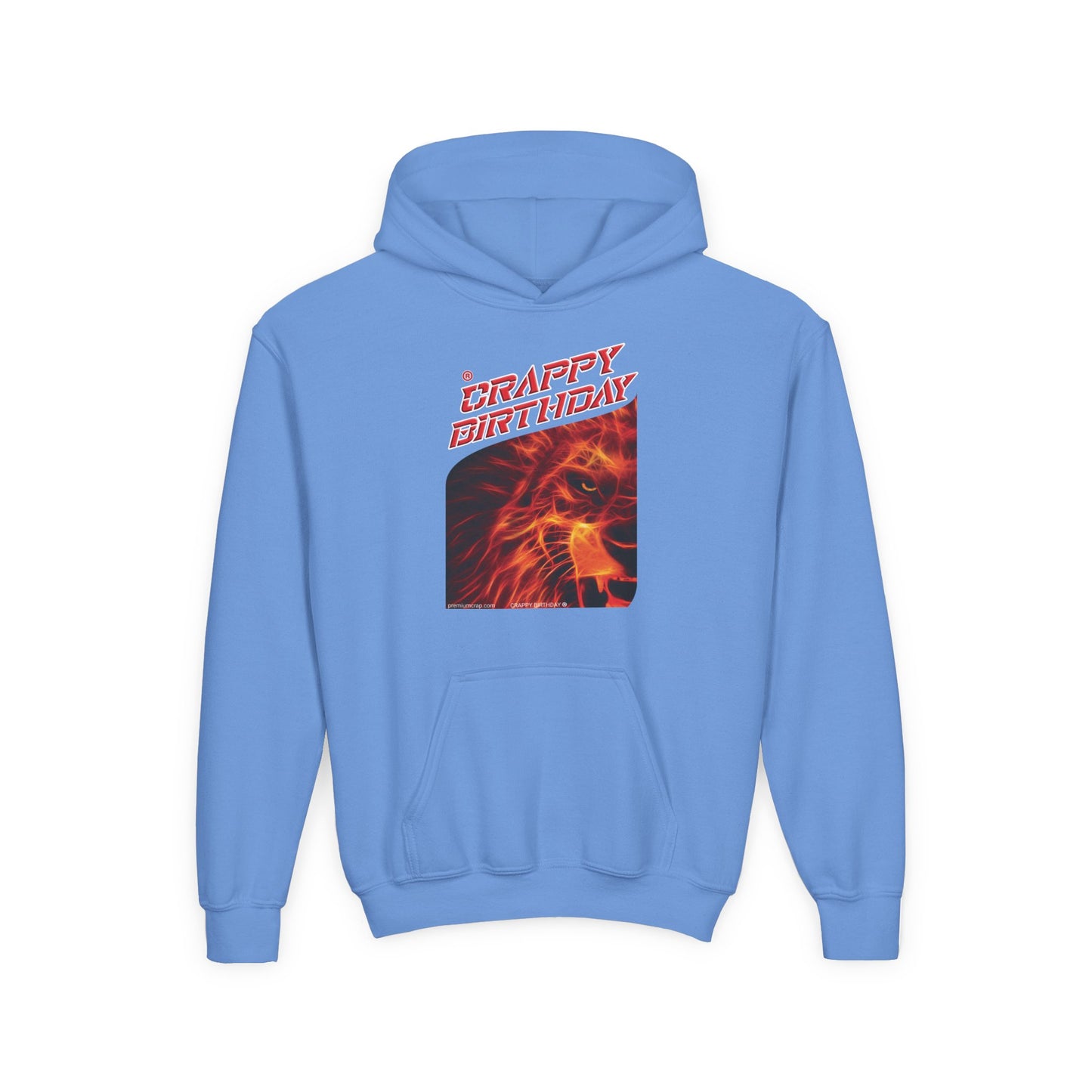 Crappy Birthday Youth Heavy Blend Hooded Sweatshirt