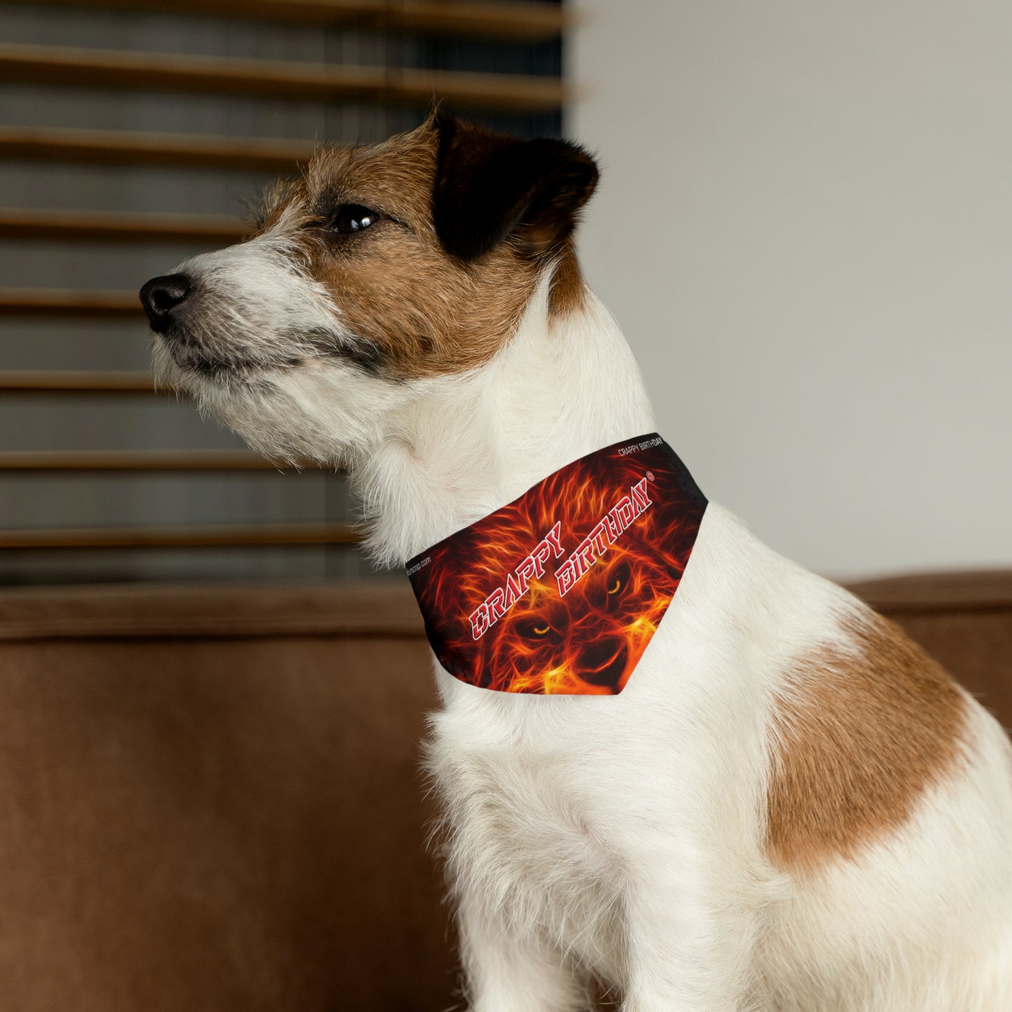 Crappy Birthday Barktastic Bandana Collar