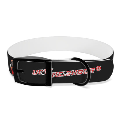 Ugly Neighbor II Dog Collar