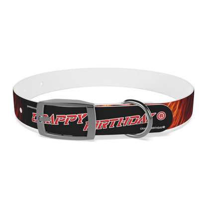 Crappy Birthday PawStrap Canine Collar