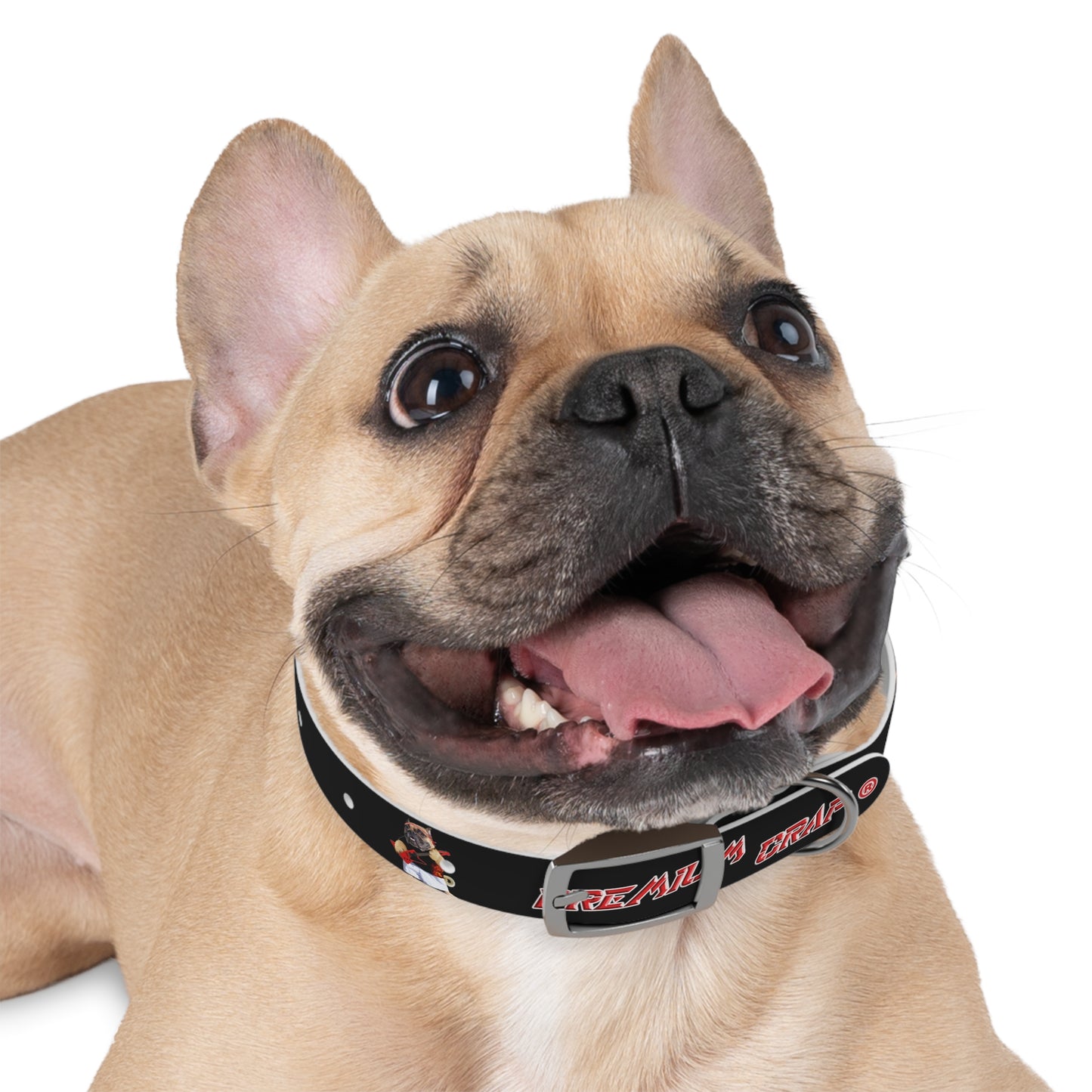 Premium Crap Dog Collar