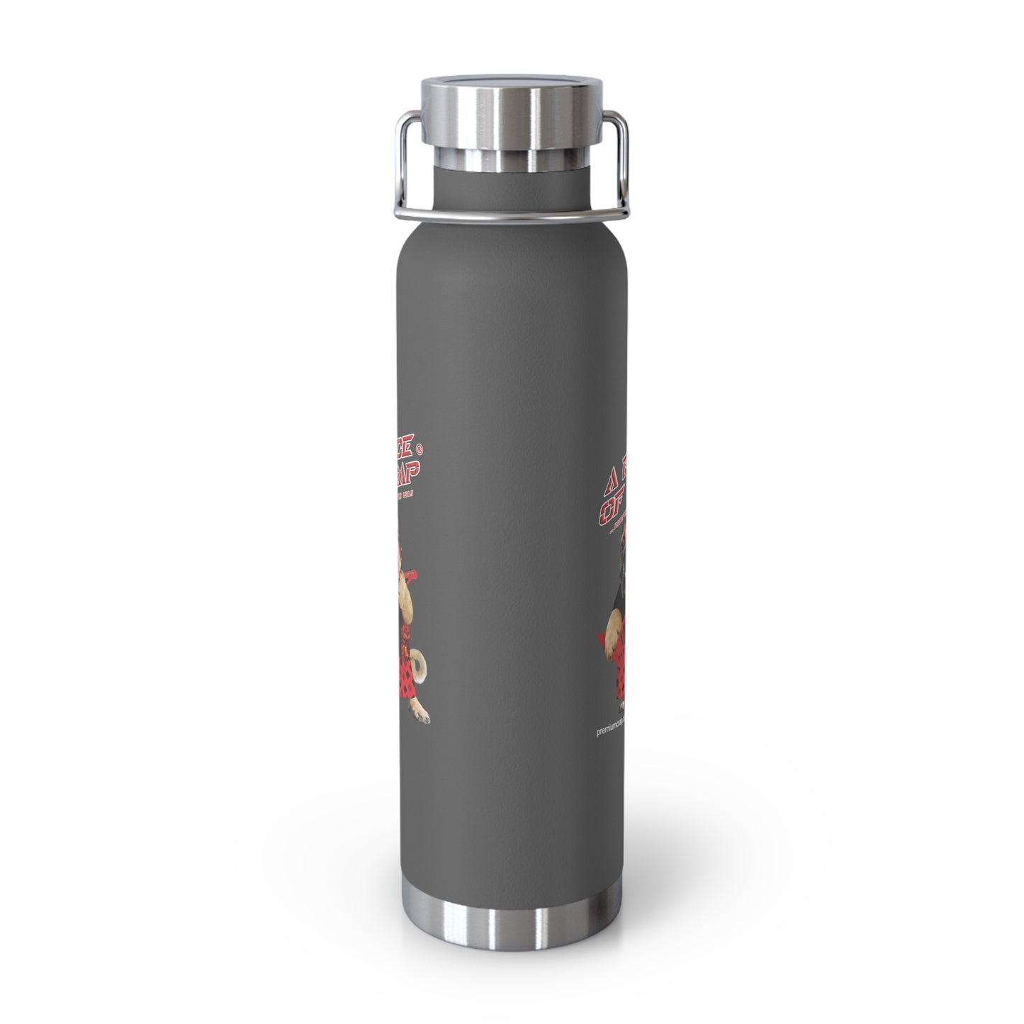 A Piece of Crap II Stainless Steel Water Bottle, Standard Lid