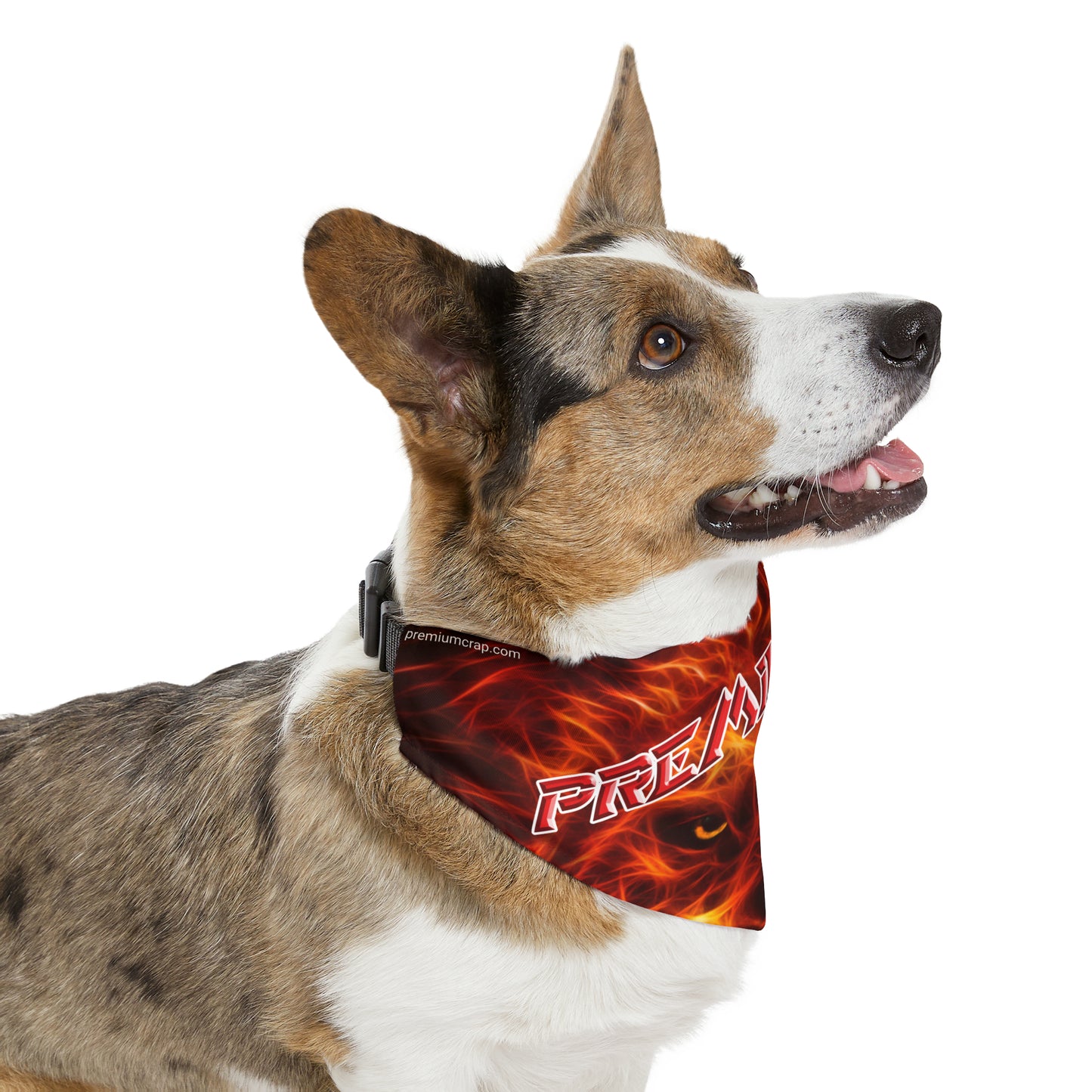 Premium Crap Barktastic Bandana Collar