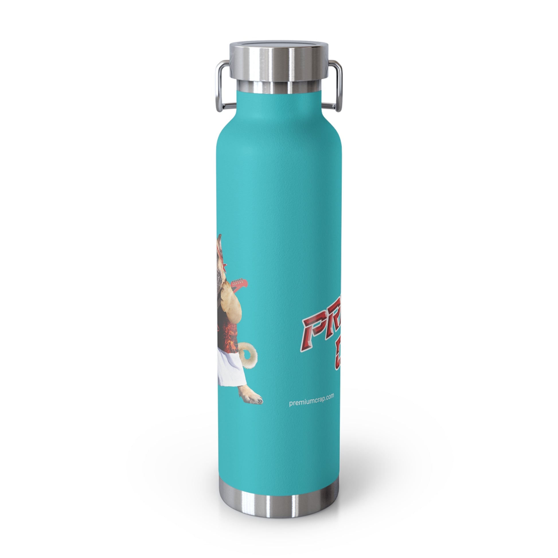 A turquoise insulated water bottle with stainless steel accents and a cartoon character graphic on the front, shown on a clean white background.