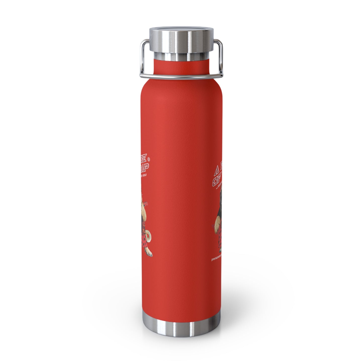 A Piece of Crap II Stainless Steel Water Bottle, Standard Lid