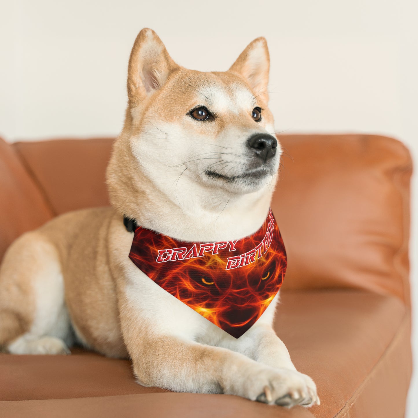 Crappy Birthday Barktastic Bandana Collar