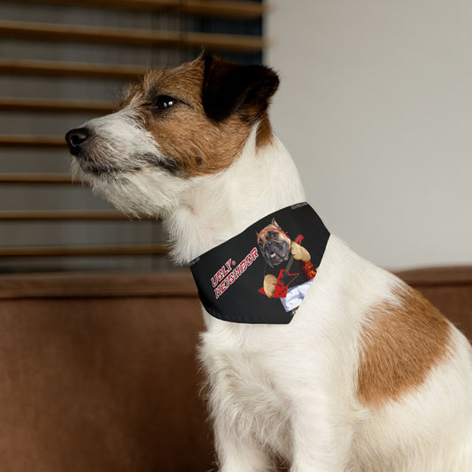 Ugly Neighbor Pet Bandana Collar