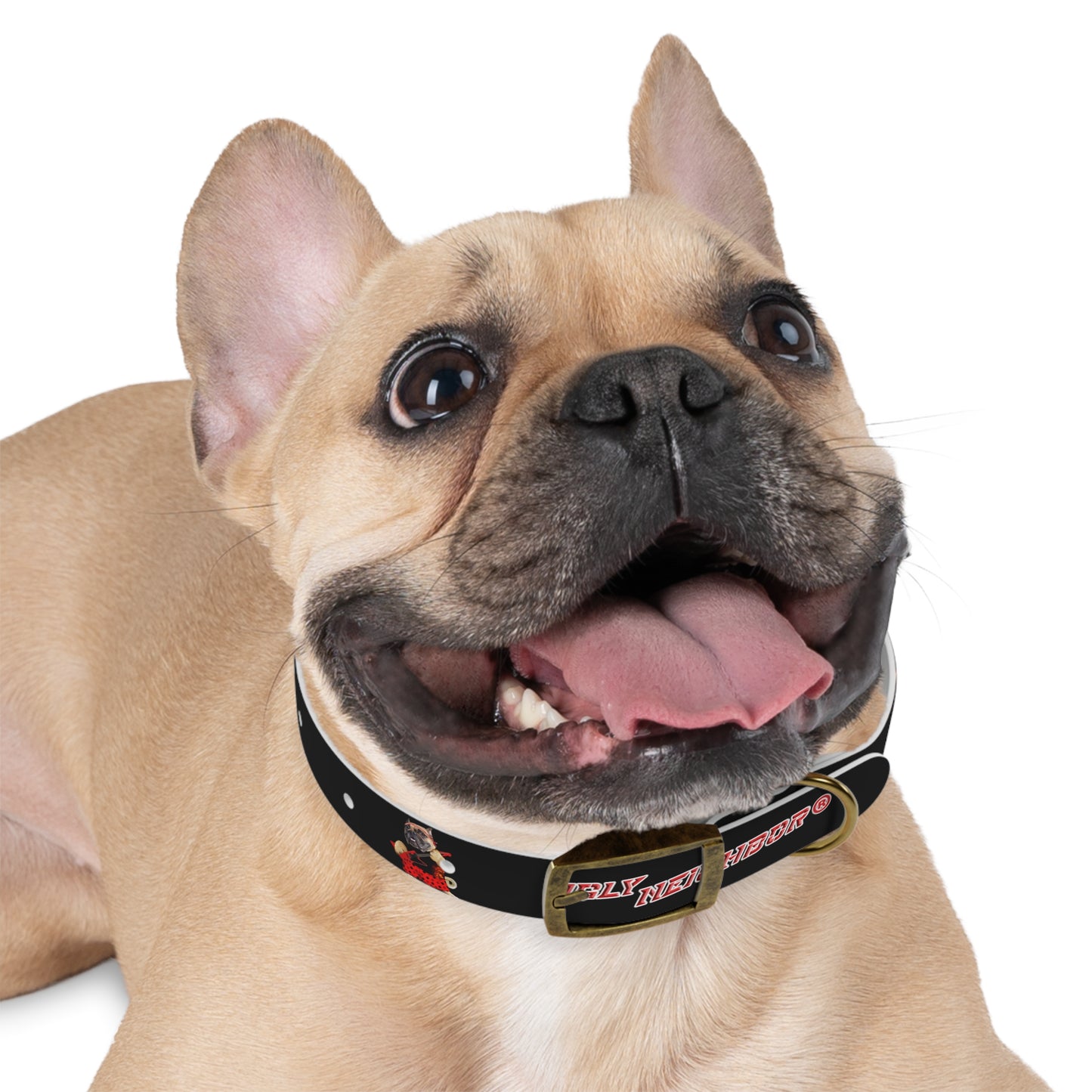 Ugly Neighbor II Dog Collar