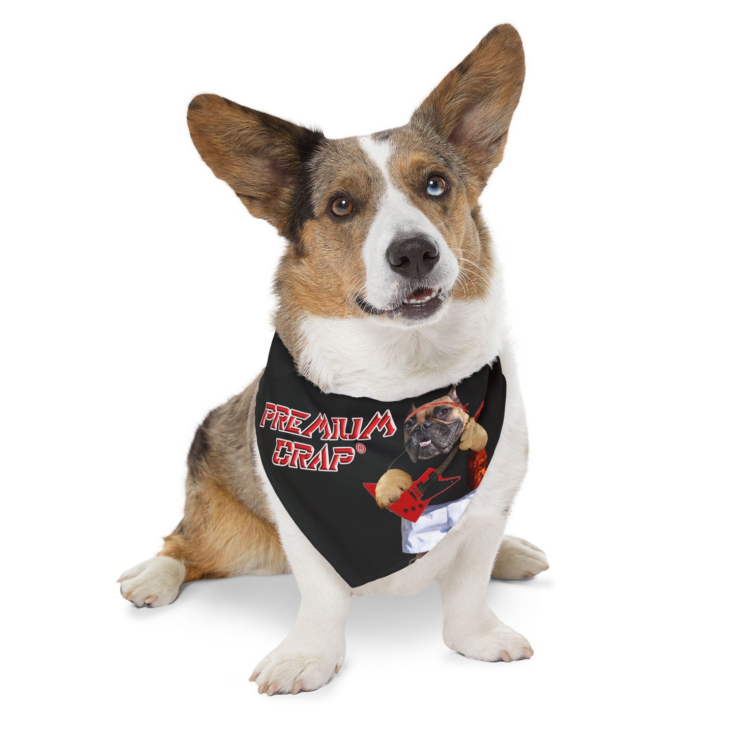 Premium Crap Pet Bandana Collar