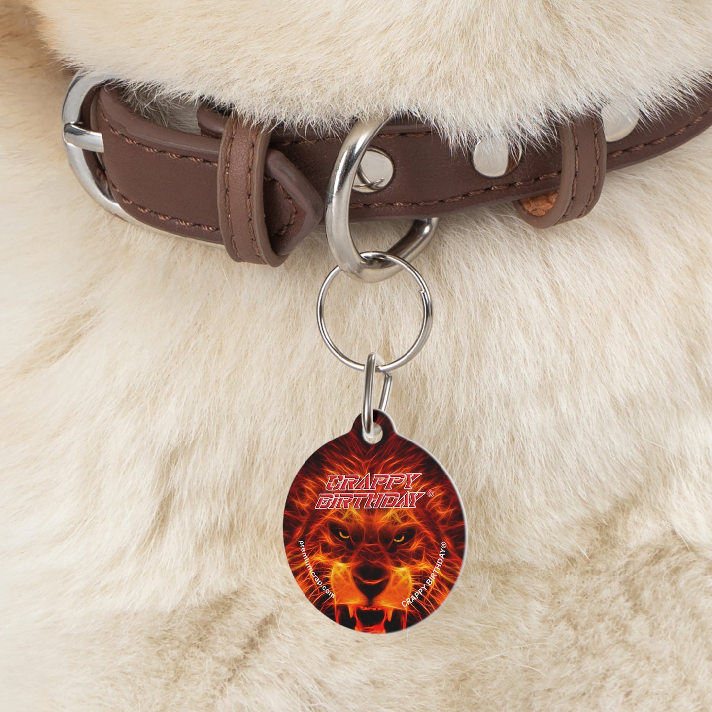 Crappy Birthday Pet Tag
