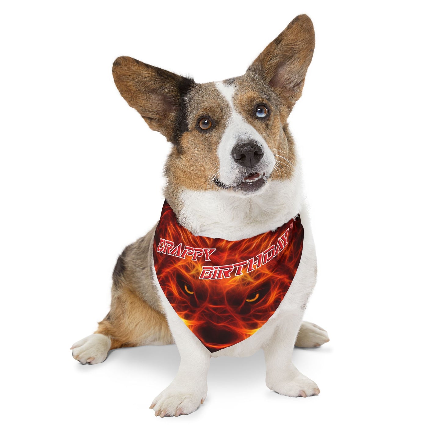 Crappy Birthday Pet Bandana Collar