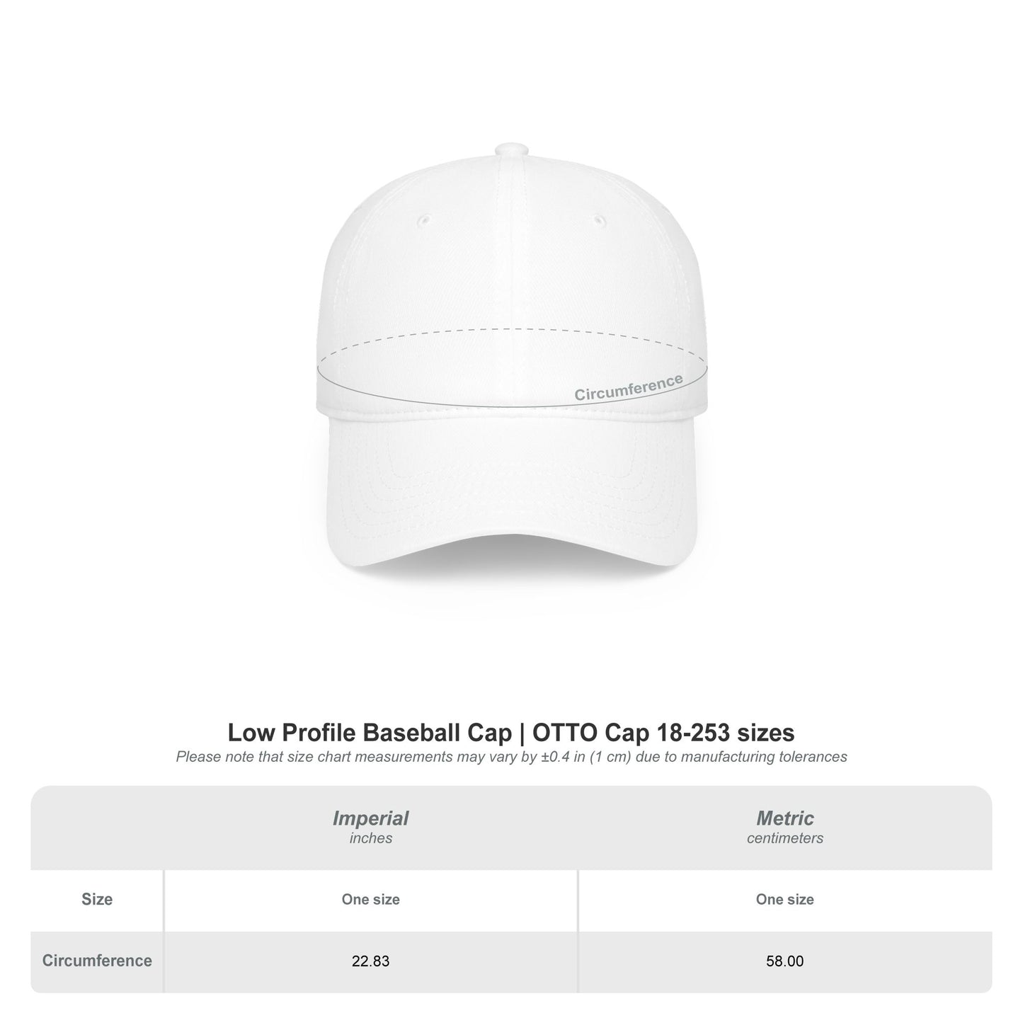 A Piece of Crap II Low Profile Baseball Cap